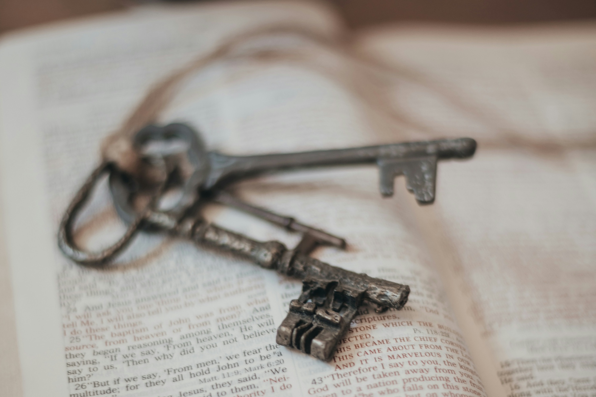 David's Key to a Prosperous Life - LEAD BIBLICALLY